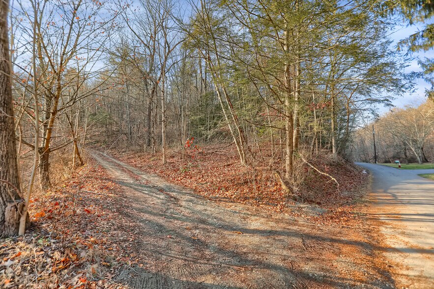 More Photos Of 703 Dauva Luch Rd, Herndon Land For Sale