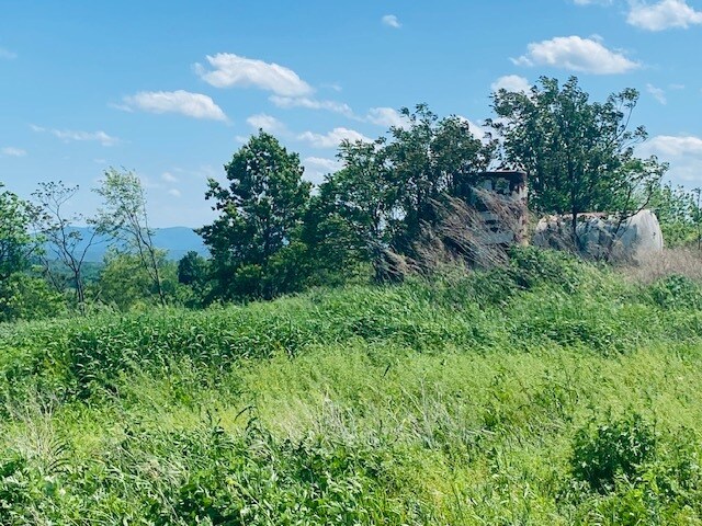 More Photos Of 00 Clarks Lane, Milton Land For Sale