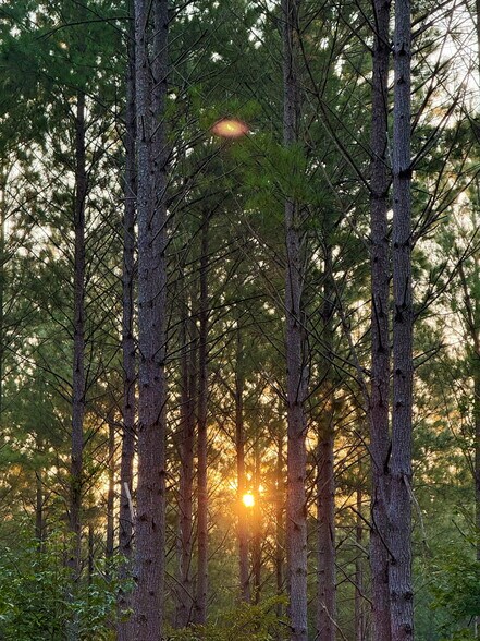 More Photos Of 2784 Furman L Fendley Hwy, Jonesville Land For Sale