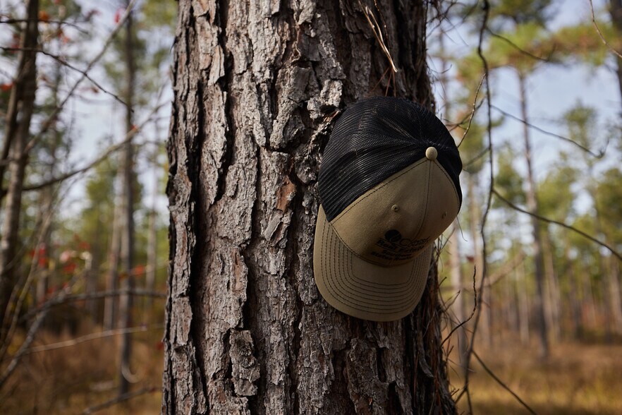 More Photos Of 480 Martin Rd, Cotton Valley Land For Sale