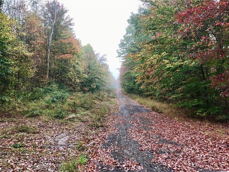 More Photos Of Bryant & SR 82 rd, Garrettsville Land For Sale