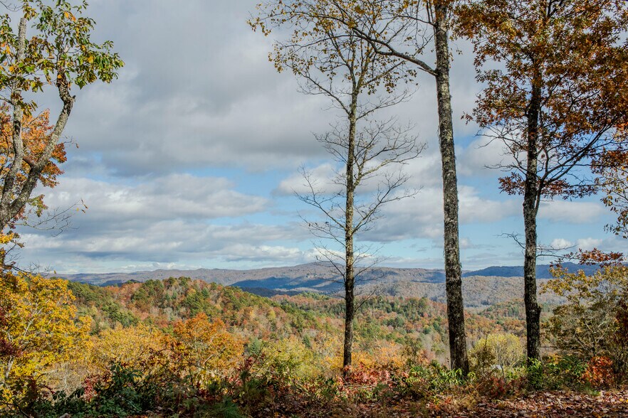 More Photos Of 195 Still Waters Ln, Brevard Land For Sale