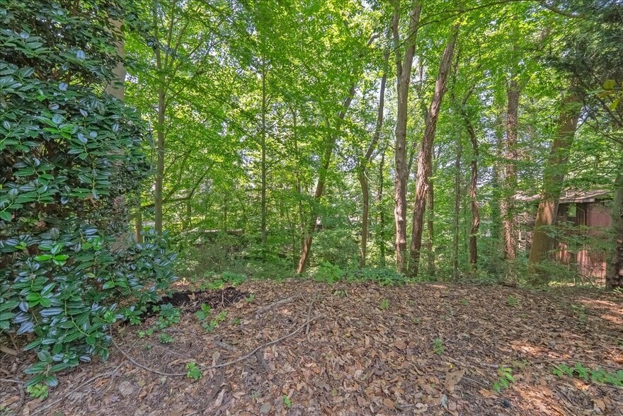 More Photos Of 4019 N Randolph St, Arlington Land For Sale