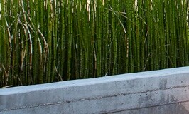 More Photos Of 2021 E 5th St, Austin Office For Lease