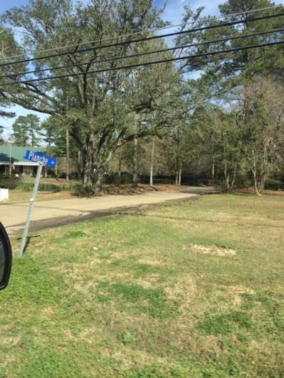 More Photos Of Lee Rd- Hwy 437, Covington Land For Sale