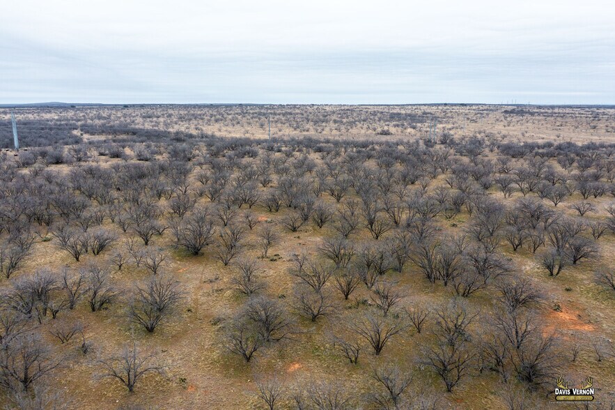 More Photos Of US Hwy 283 & I-20, Baird Land For Sale