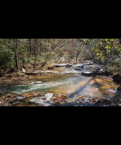 More Photos Of 1068 Sam Paul Rd, Elberton Land For Sale