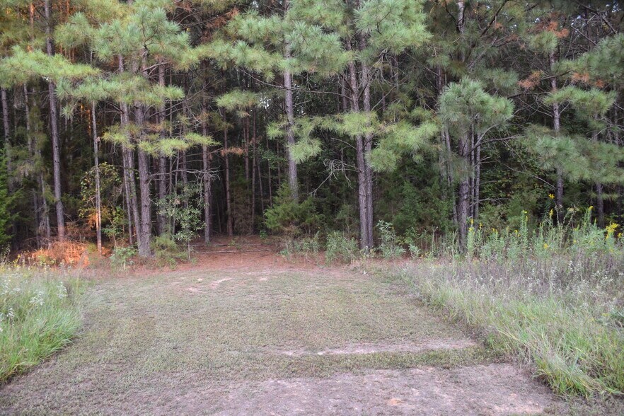 375 County Road 2104, Daingerfield, TX 75638 Schools For Sale