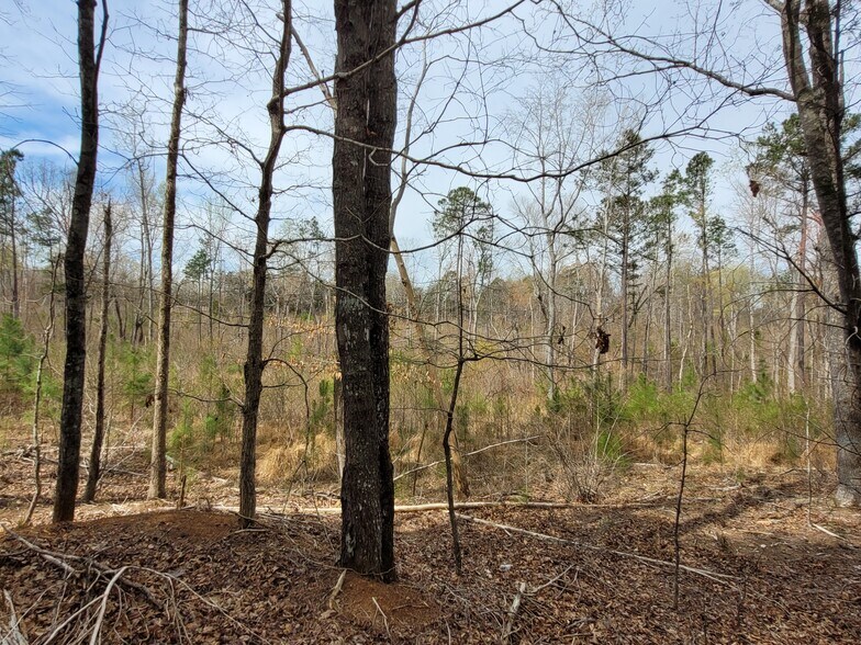 More Photos Of 0000 N. Frazier Rd, Mebane Land For Sale