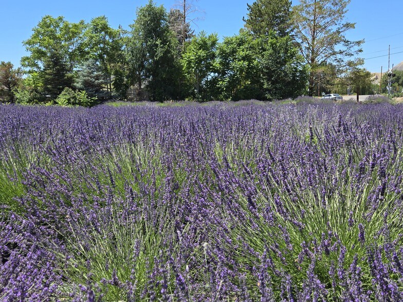 More Photos Of 3669 G Rd, Palisade Freestanding For Sale