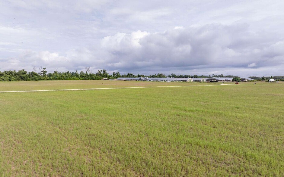 More Photos Of 1083 SW County Road 351, Mayo Land For Sale
