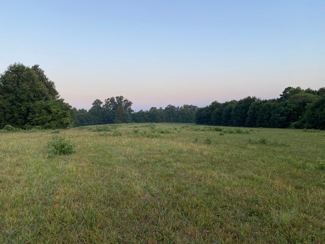 More Photos Of N Mountain St, Blacksburg Land For Sale