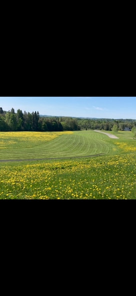 More Photos Of 113 Westmanland Rd, New Sweden Specialty For Sale