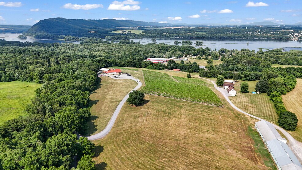 More Photos Of 3 Orchard Rd, Liverpool Winery Vineyard For Sale