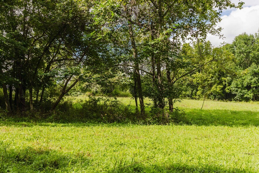 More Photos Of 7438 Bagdad Rd, Bagdad Land For Sale