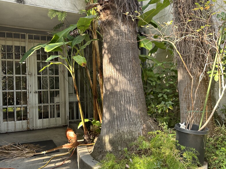 More Photos Of 315 E 4th St, Ontario Garden Center For Sale