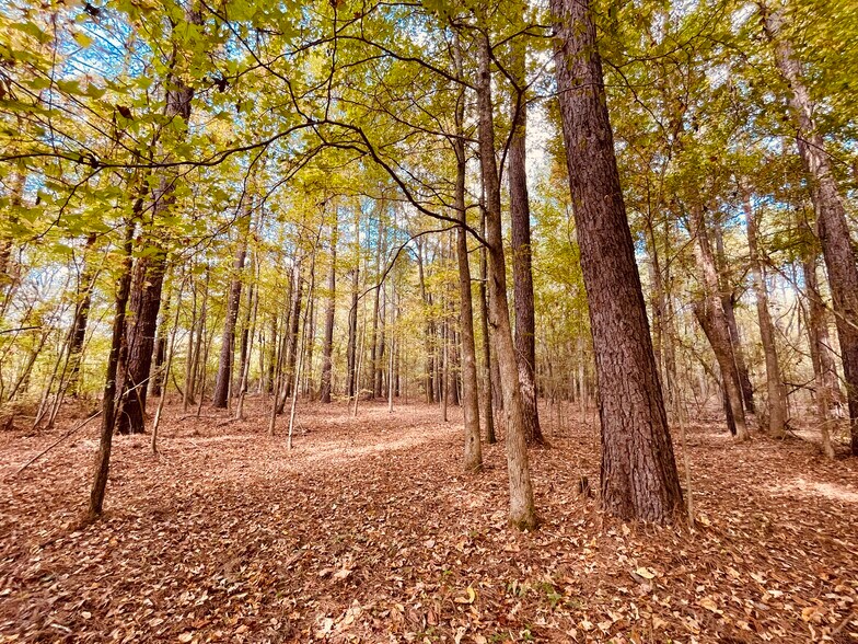 More Photos Of Hwy 12, Durant Land For Sale