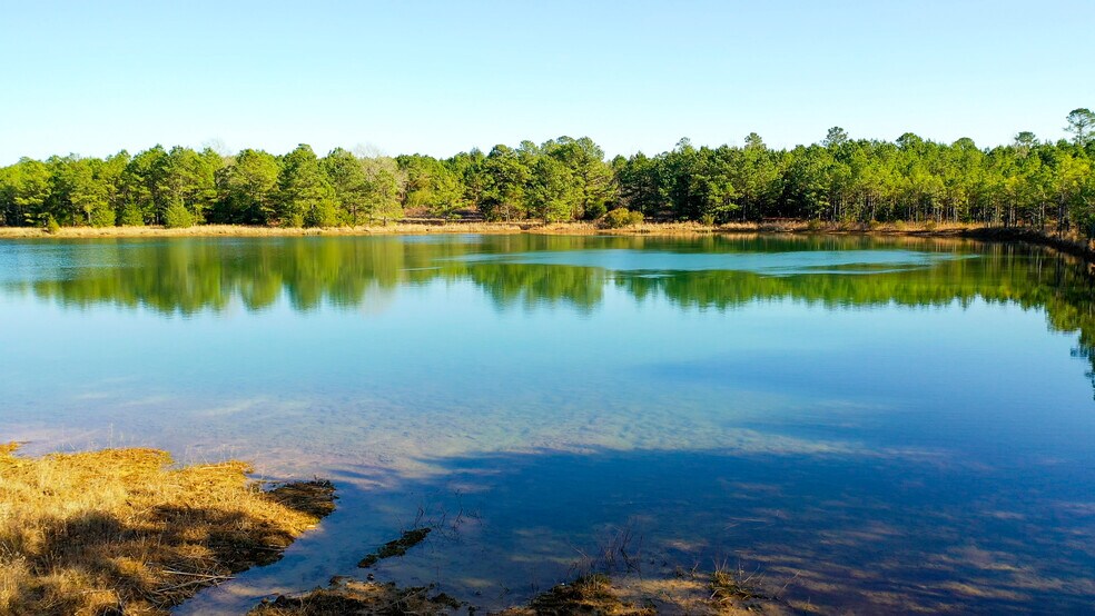 More Photos Of HWY 49 hwy, Jefferson Land For Sale