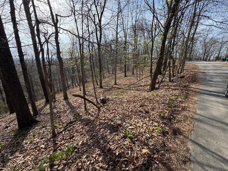 More Photos Of 190 Edgewater Dr, Eureka Springs Land For Sale
