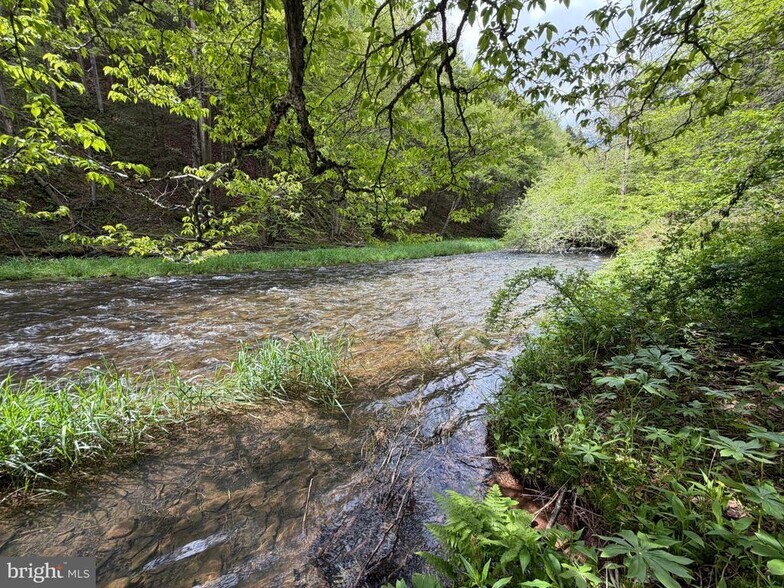 More Photos Of 1226-1227 Cross Fork Creek Rd, Cross Fork Land For Sale