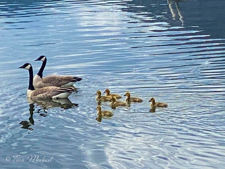 More Photos Of 405 Main st, Thompson Falls Office For Sale