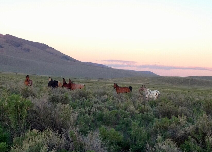 More Photos Of 3750 Pahsimeroi Rd, May Land For Sale