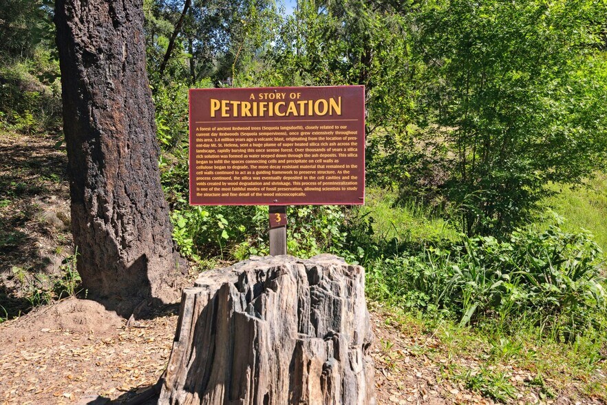 More Photos Of 4100 Petrified Forest Rd, Calistoga Land For Sale