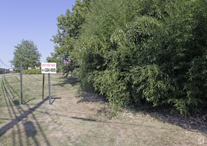 Primary Photo Of 20 Sandra Dr, Parsippany Land For Sale