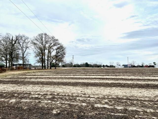 More Photos Of 8291 GA Highway 67, Brooklet Land For Sale