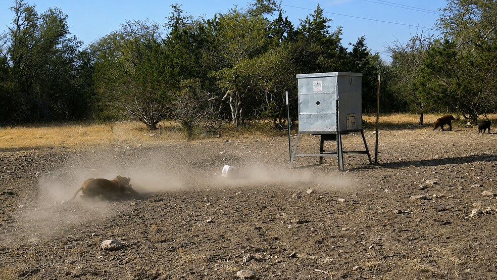 More Photos Of 65 Miles Ln, Harper Land For Sale