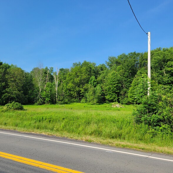 More Photos Of 1283 Old Route 17, Ferndale Land For Sale
