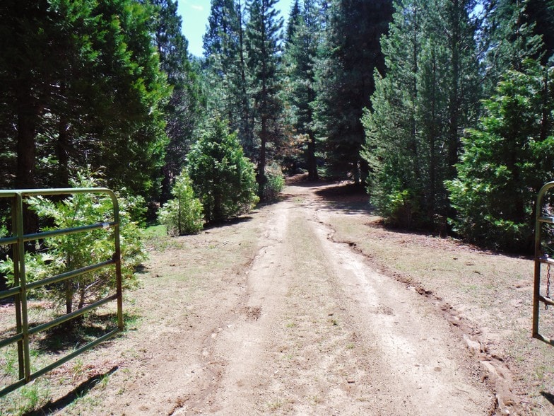 More Photos Of Forest Route, Hume Land For Sale