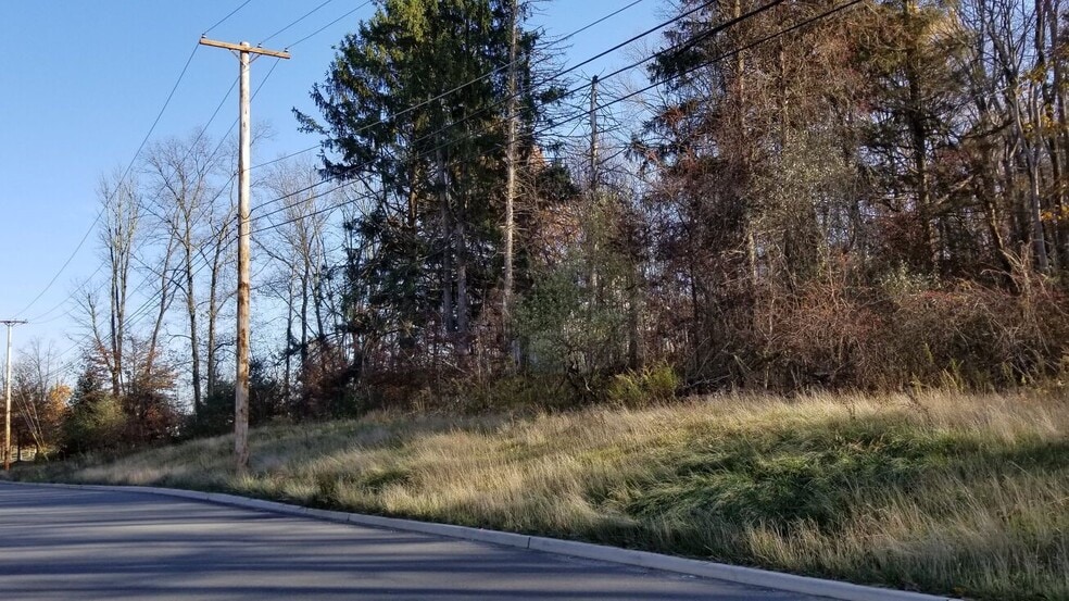 More Photos Of 217 Waterloo Valley Rd, Mount Olive Land For Sale