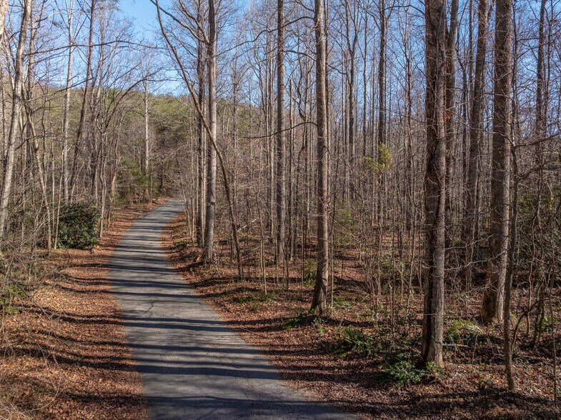 More Photos Of 00 Pittman Rd, Landrum Land For Sale
