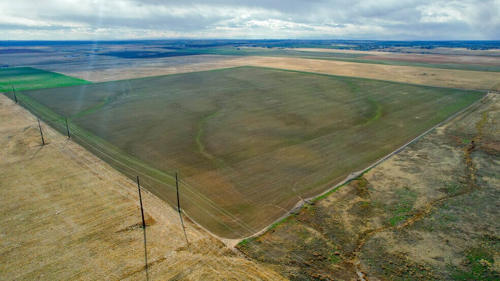 Primary Photo Of E 160th Ave & Peterson Rd, Keenesburg Land For Sale