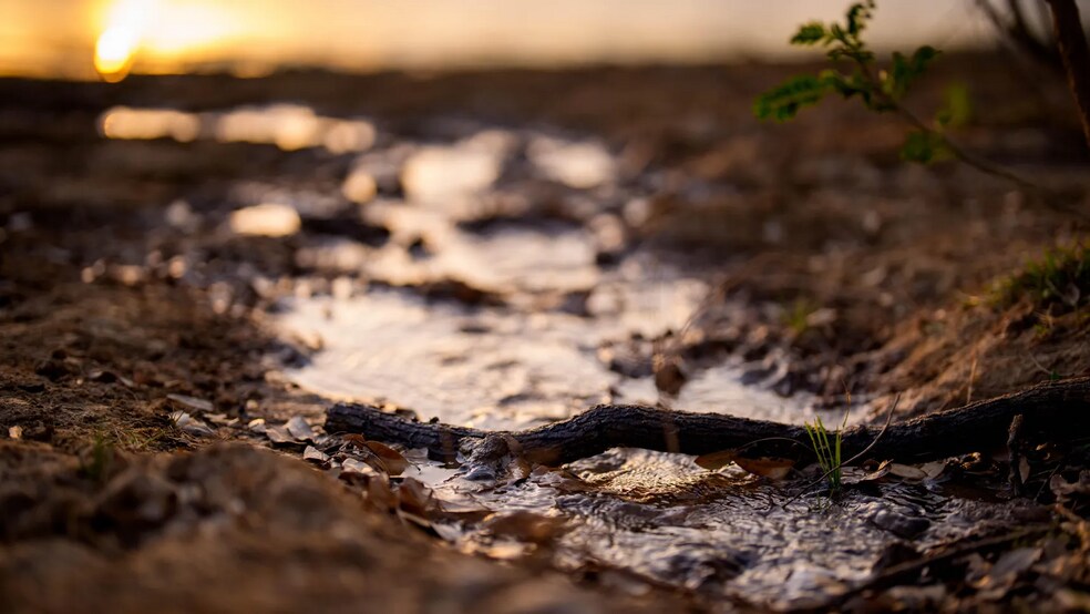 More Photos Of Texas 97, Cost Land For Sale