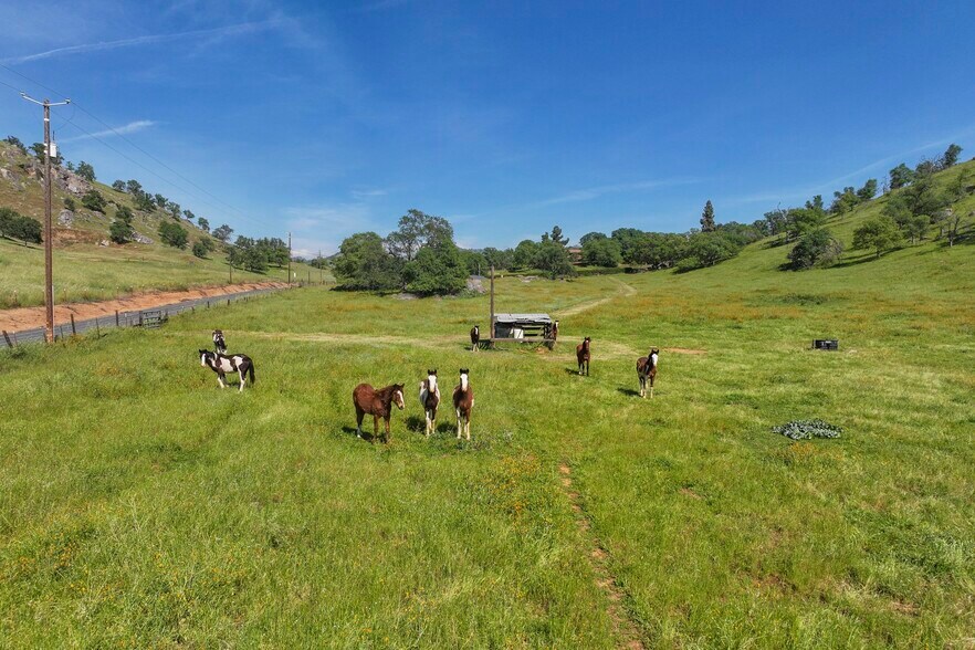 More Photos Of Driver 152, Orosi Land For Sale