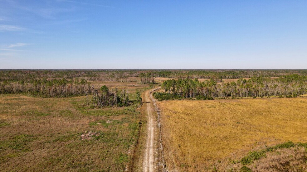 More Photos Of 4597 State 24 rd, Bronson Land For Sale