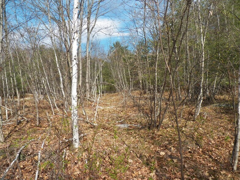 More Photos Of 988 Dover Rd, Epsom Land For Sale