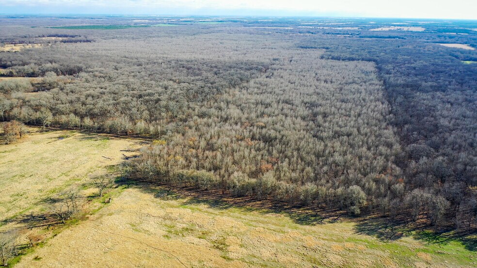 More Photos Of 1200 County 1255 rd, Detroit Land For Sale