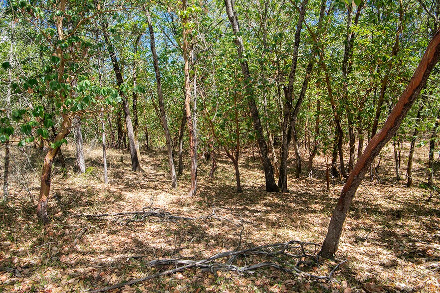 More Photos Of 0 Rosemary Lane Ln, Grants Pass Land For Sale