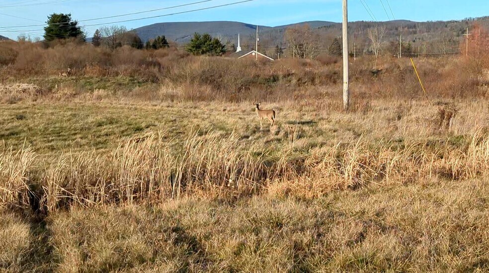 Primary Photo Of 54 Nadalini Dr, Mansfield Land For Sale