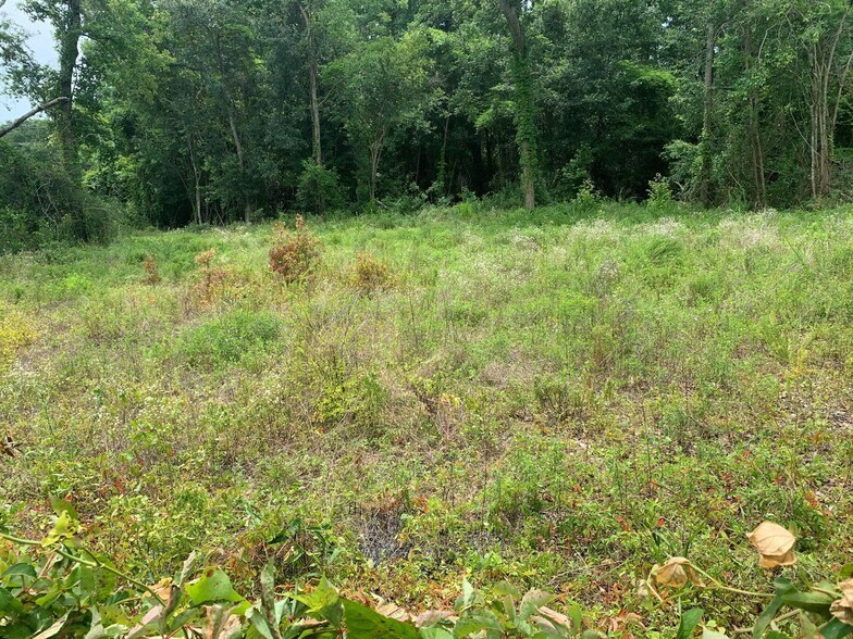 Primary Photo Of 245 Crystal Drive Dr, Mount Pleasant Land For Sale