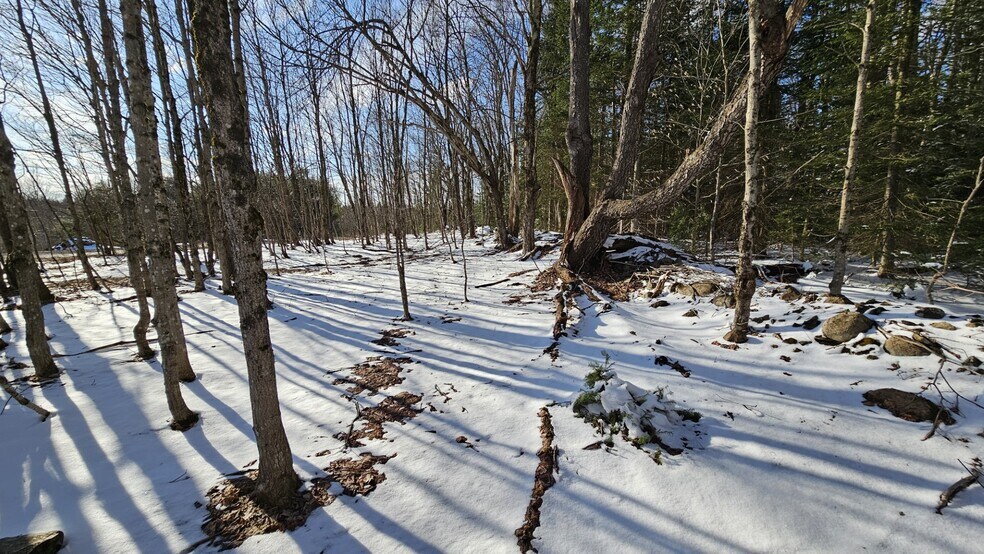 More Photos Of 1316 William Ernst Rd, West Leyden Land For Sale