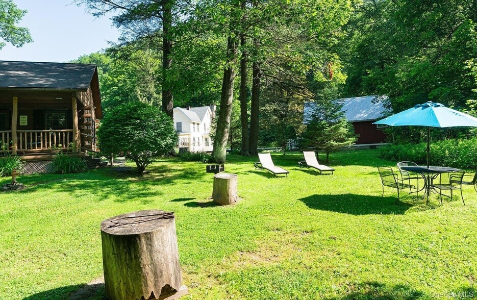 More Photos Of 5973 New York 28, Phoenicia Hotel For Sale