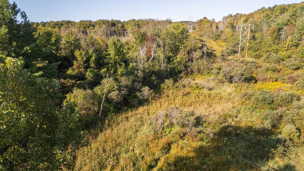 More Photos Of 219 Mudge rd, Delanson Land For Sale