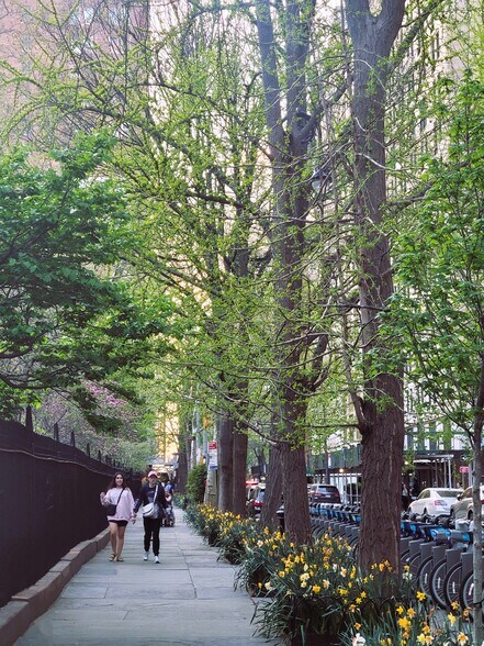 More Photos Of 225 E 21ST St, New York Apartments For Lease