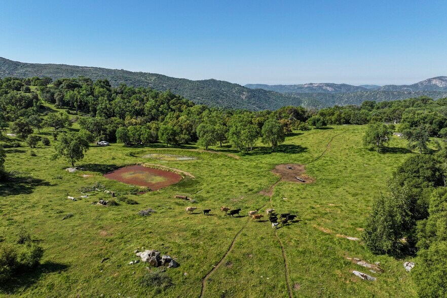 More Photos Of Dry Creek Drive, Badger Land For Sale