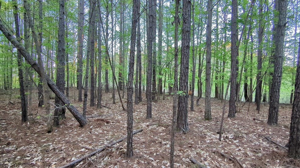 More Photos Of 0 Hathcock Road, College Park Land For Sale