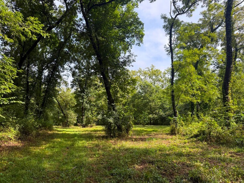 More Photos Of 17660 Golden Rd, Linwood Land For Sale